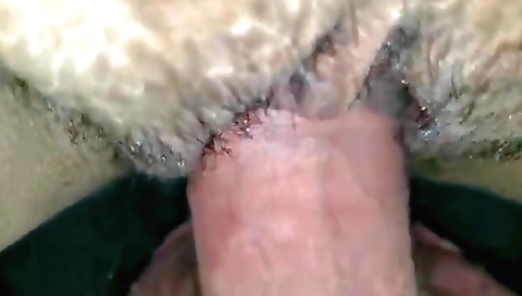 Beautiful brunette indian hirsute girl gets fucked in pov