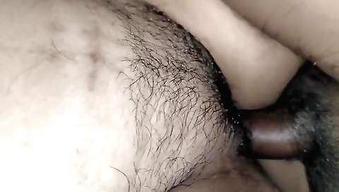 Indian girl with a hairy pussy is happy to have a sex session