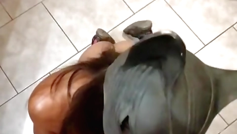 Indian porn video with a beautiful brunette girl with a big tits