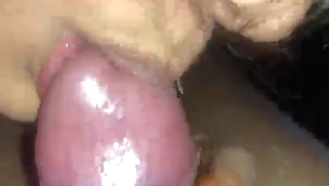 Hot indian film with a hot guy having a sex with a babe